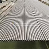 S22053 Seamless Stainless Steel Boiler Pipe